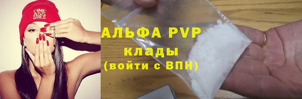 стафф Белокуриха
