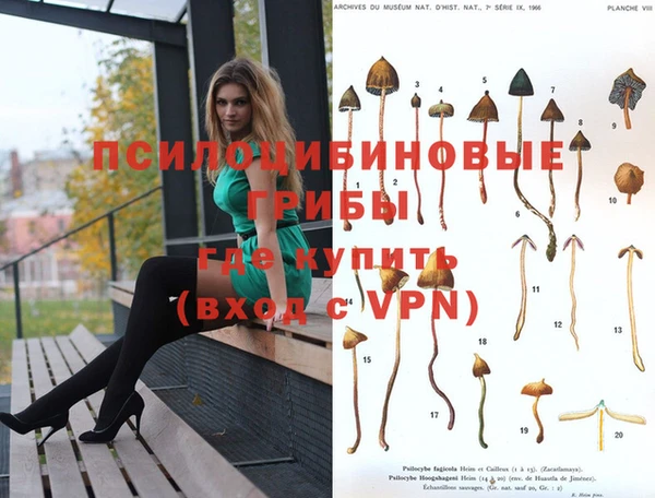 мдпв Балабаново