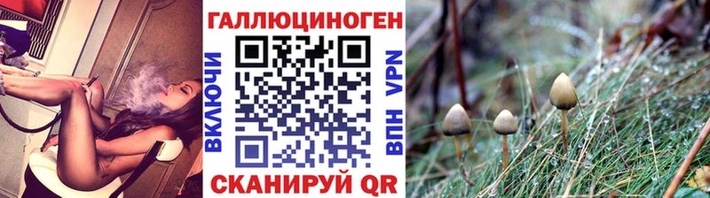 где можно купить   Санкт-Петербург  Псилоцибиновые грибы ЛСД 