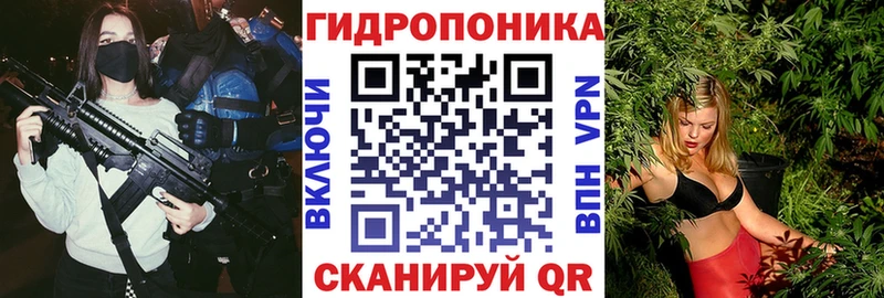 Бошки марихуана индика  Санкт-Петербург 